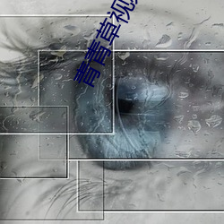 青青草視頻