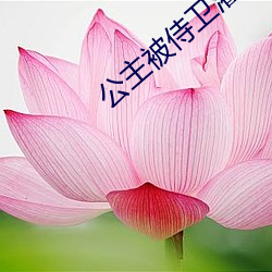 公主被侍卫灌满H