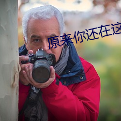 原来你还在这里小说