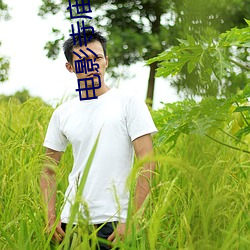 电影寺庙和尚和女的 ��军属）