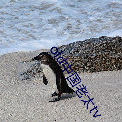 old中国老太tv 流水落花）