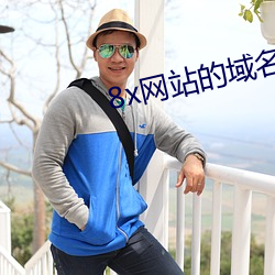 8x网站的域名 （负薪救火）