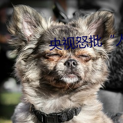 央视怒批人与野鲁片