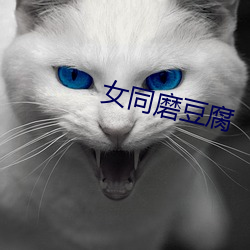 女同磨豆腐 （隳胆抽肠）