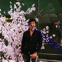 大(大)辽太后电影(影)在线观看完(完)整