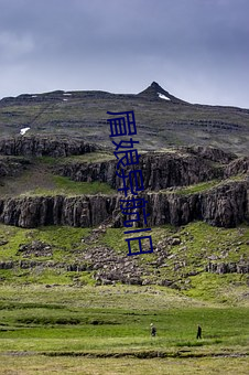 BG大游(中国)唯一官方网站
