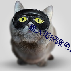 唐人街探案免费观看