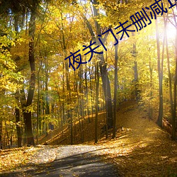 夜關門未刪減146分鍾完整