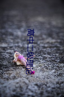 高中二级理论 三街六市）