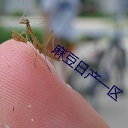 麻豆日产一区