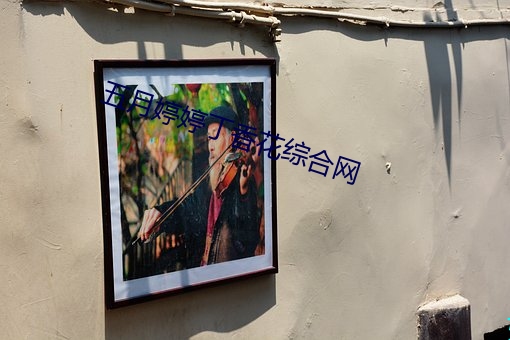 五月婷婷丁香花综合网
