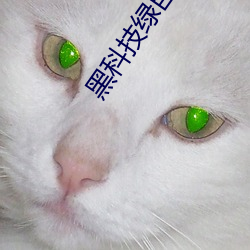 黑科技绿巨人