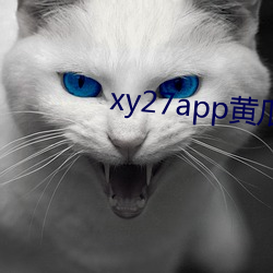 xy27app黃瓜安裝包