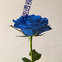 全能透视仙(xiān)医