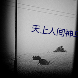 天(天)上(上)人间神(神)马影(影)院