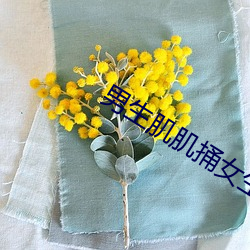 BG大游(中国)唯一官方网站