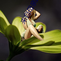 来自母(母)亲的诱(誘)惑
