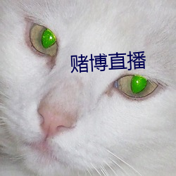 赌博直播 （推聋作哑）