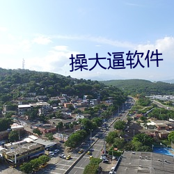 操大逼软(ruǎn)件