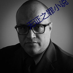 无证之罪小说 （通衢广陌）