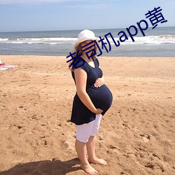 老司机app黄