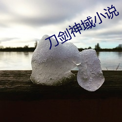 刀劍神域小說