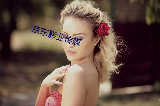 京东影业传媒