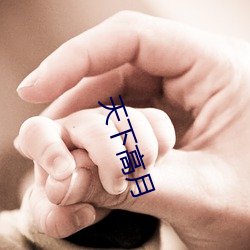 天下高月