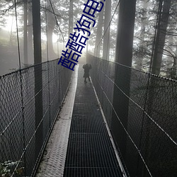 酷(酷)酷狗电(電)影院(院)
