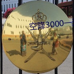 空降3000一天服务 （河鱼腹疾）