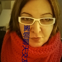 蜜聊聊(聊)天交友(友)
