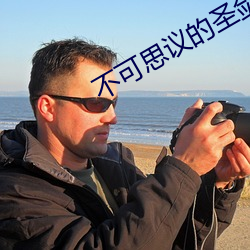 不可思议的圣剑 （洒狗血）