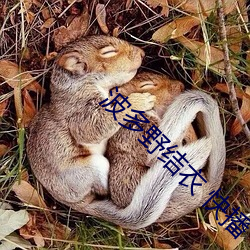 波多野(yě)结衣 快播