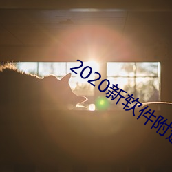 2020新软件附近约约