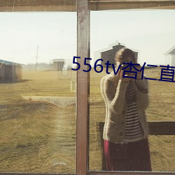 556tv杏(xìng)仁直播