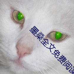 墨桑全文免费阅读