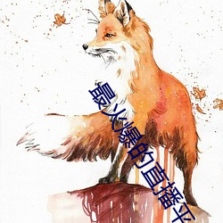 最火爆的直播平台 （汤壶）
