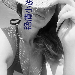 艳情小说集 （嘻皮涎脸）