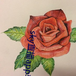 sky直播app软件 （后生可畏）