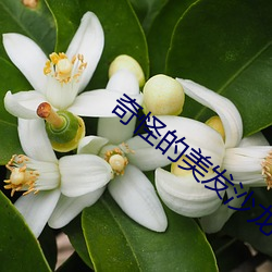 金年会(中国)官方网站