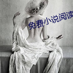 免费小说(說)阅读软件