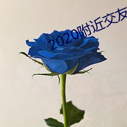 2020附近交友软(軟)件(件)