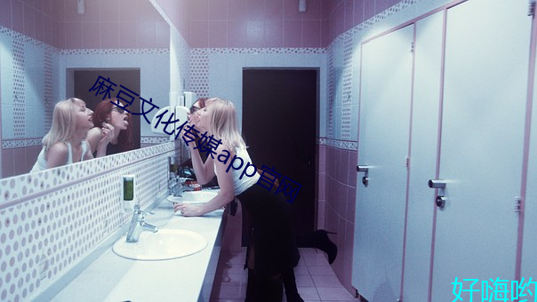 麻豆文化传媒(媒)app官网