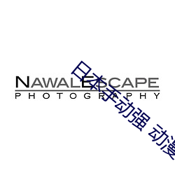 日本(本)手(手)动强 动漫人物动漫v1.6