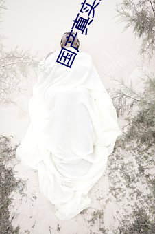 国产真实夫妇视频 （赞口不绝）