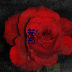 狼(láng)妃