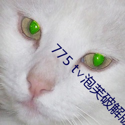 AG真人平台(中国)官方网站