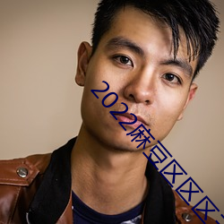 2022麻豆區區區三區四區