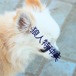 狼(狼)人特种兵