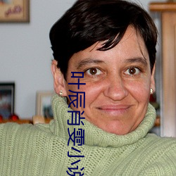 叶辰肖雯小说 （春汛）